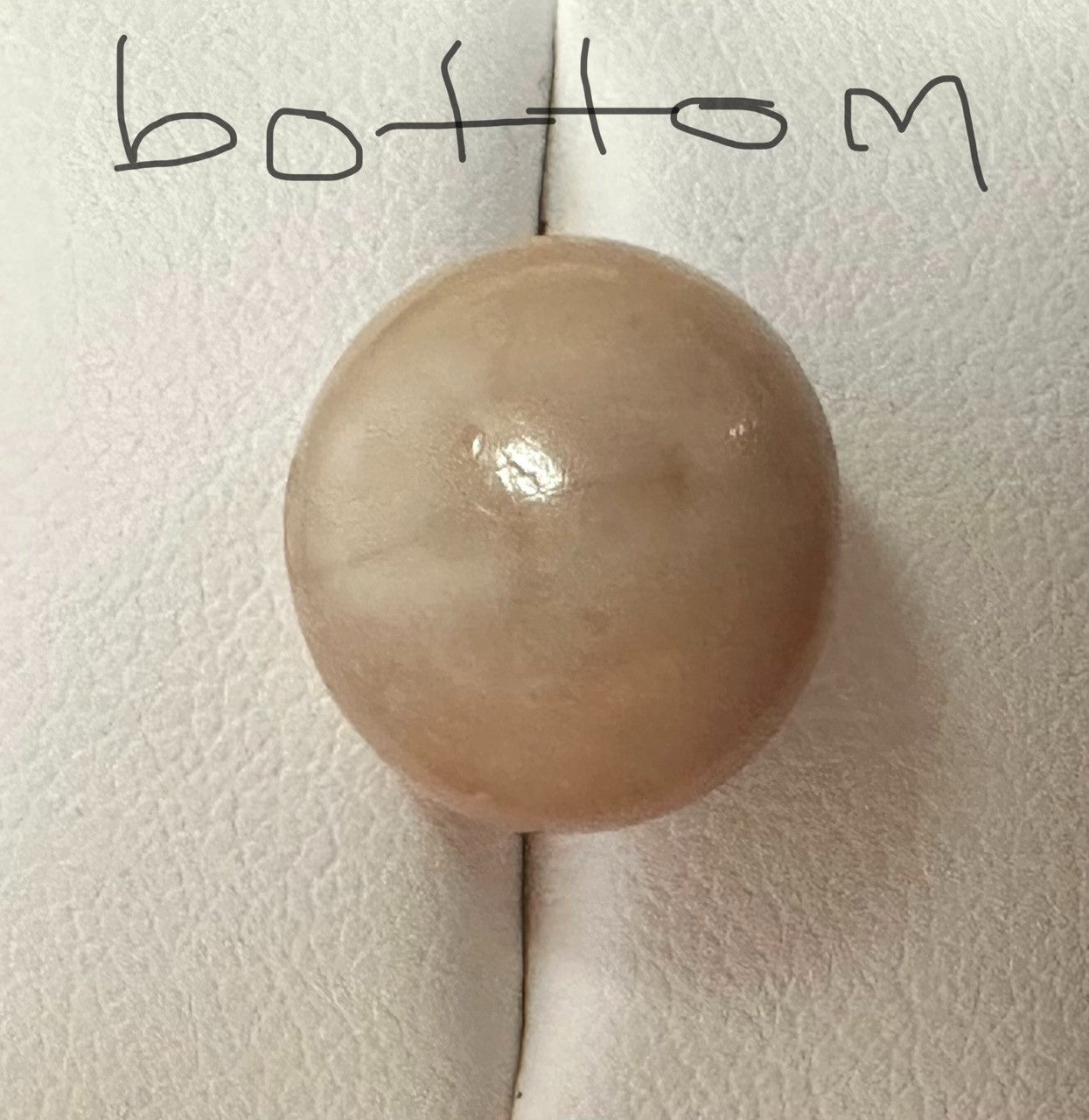 A Rare and Stunning 14.49ct Natural Saltwater Cassis Cornuta Pearl