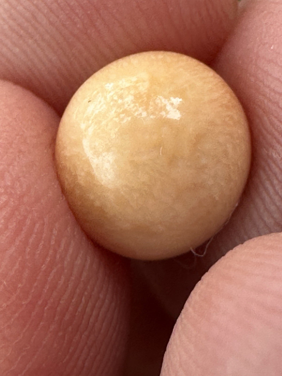 A Delightful Melo Pearl 5.22ct