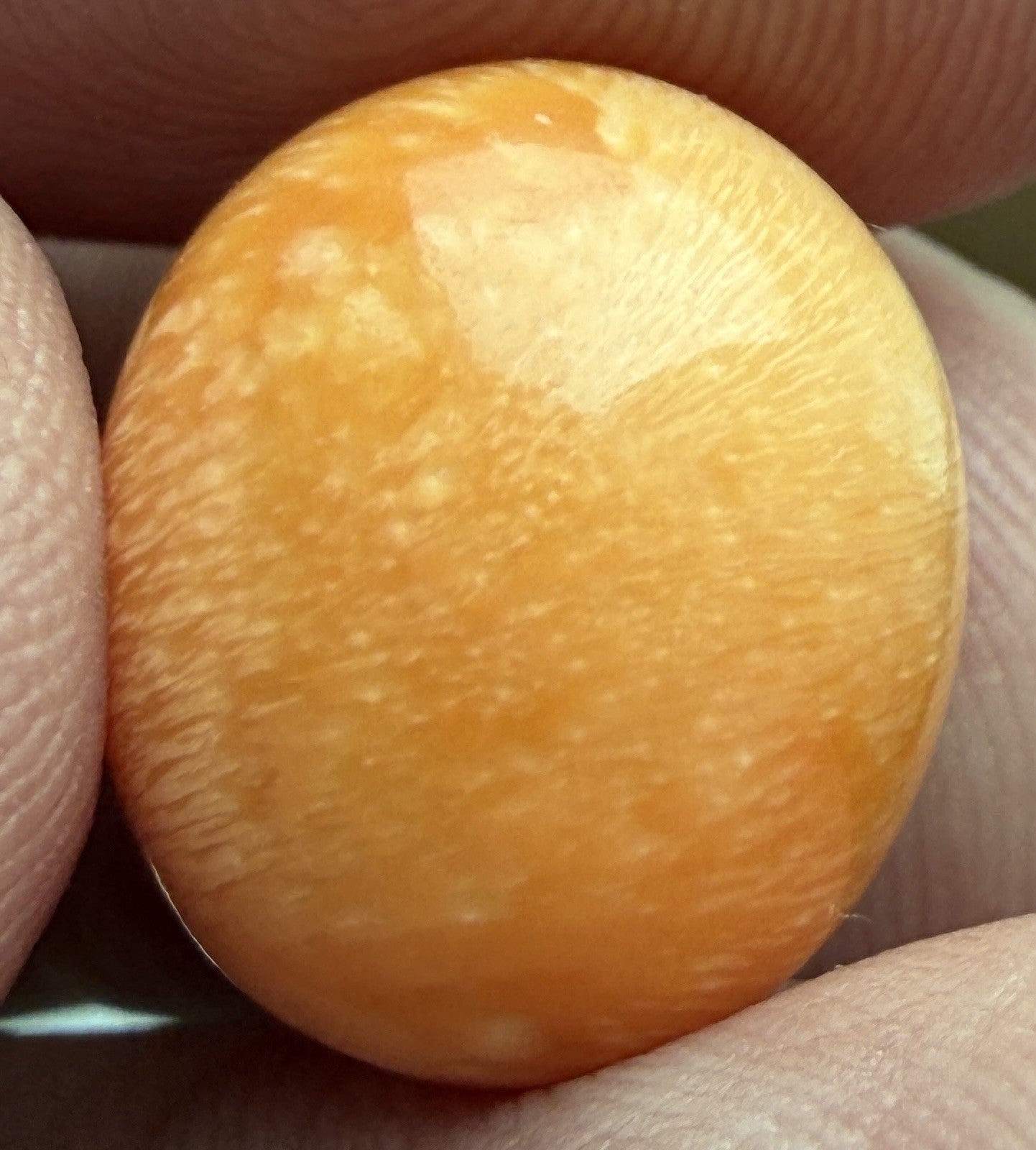 Melo Pearl 19.77ct - Natural Pearl - Magnificent!