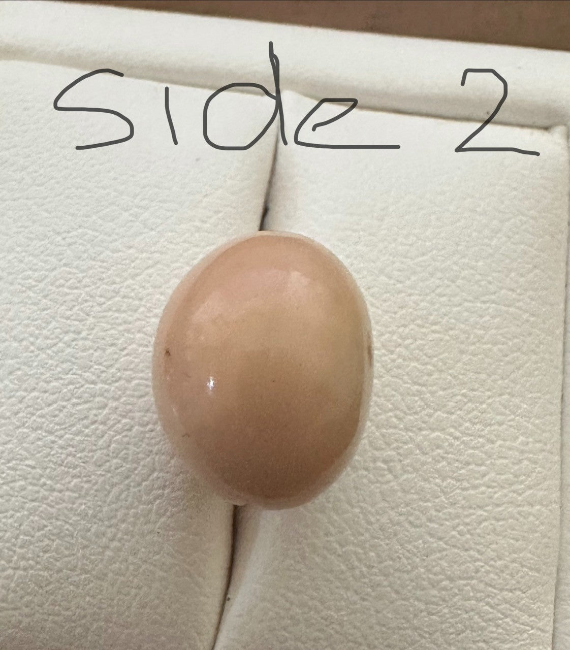 A Rare and Stunning 14.49ct Natural Saltwater Cassis Cornuta Pearl