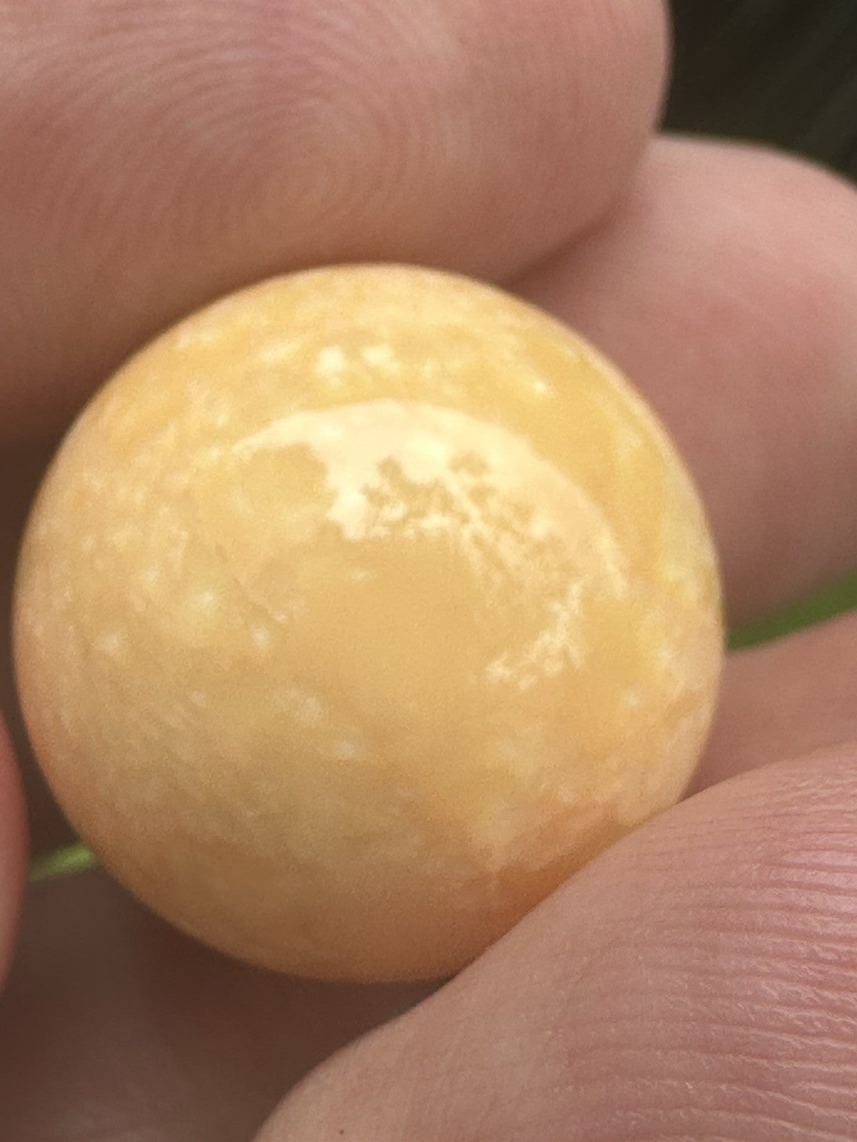 Melo Pearl 54.36ct - Stunning!