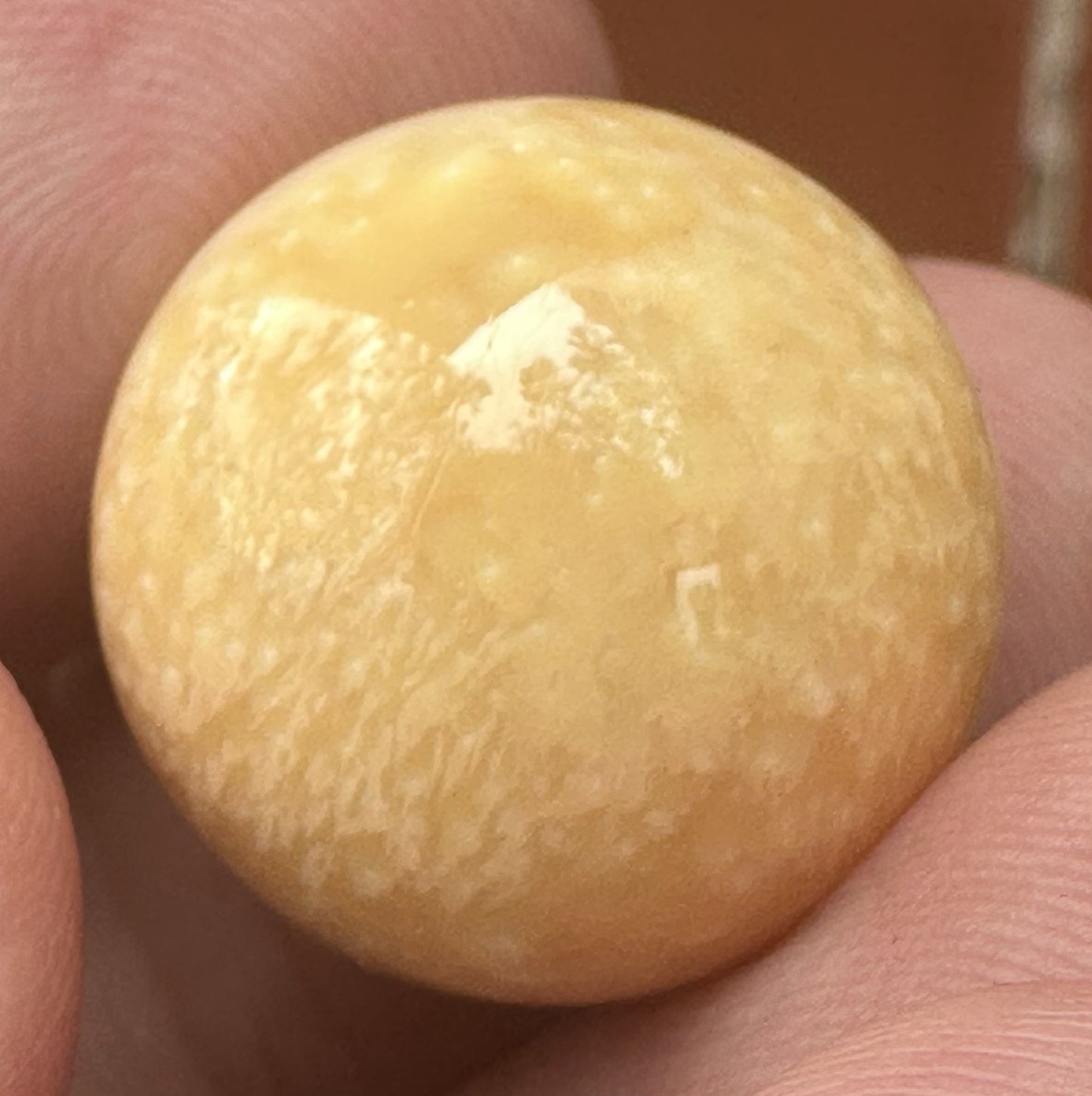 Melo Pearl 54.36ct - Stunning!