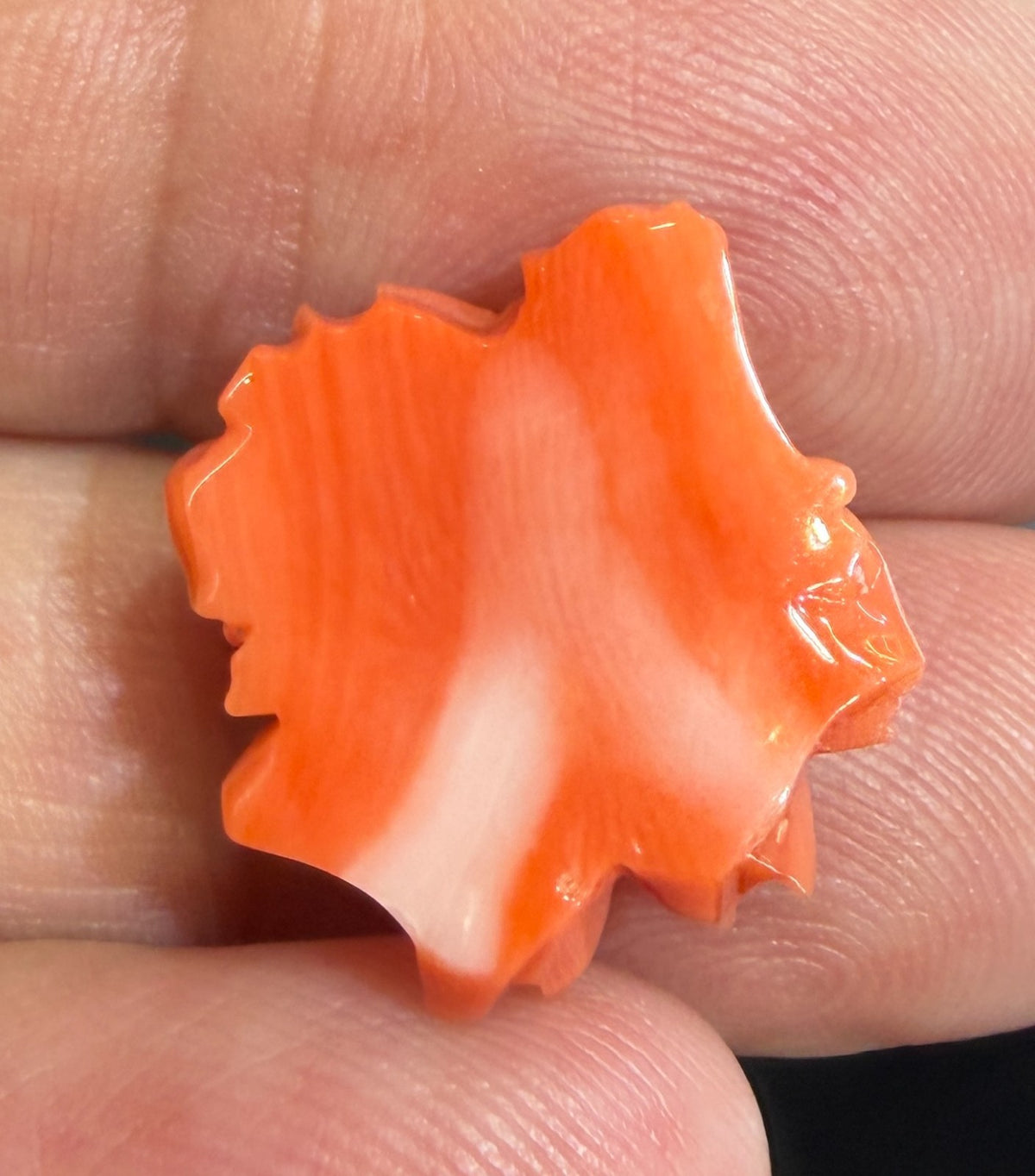 A Stunning Carved Red Coral Rose
