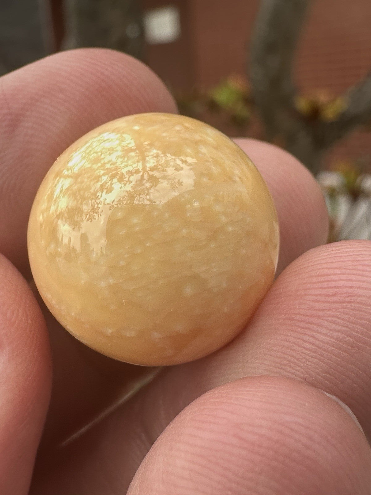 Melo Pearl 54.36ct - Stunning!