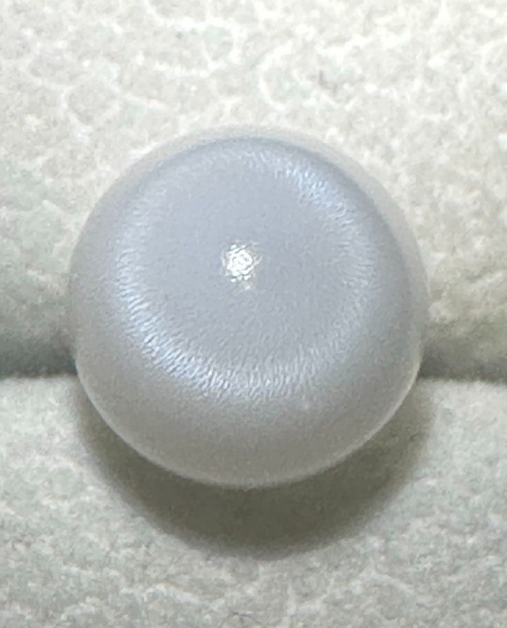 Natural Pearl Tridacna Clam 7.81ct - Beautiful !