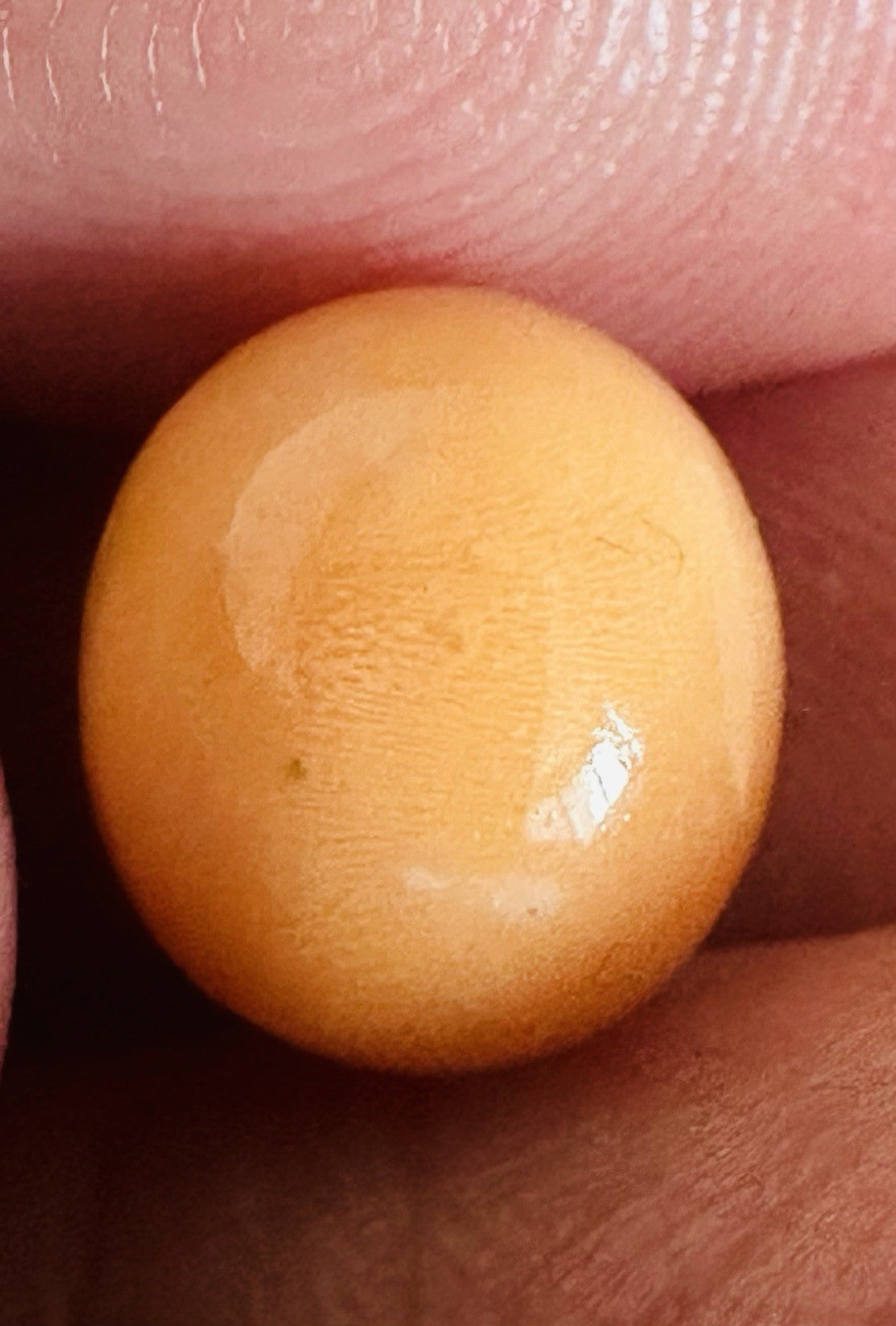 Melo Pearl 6.30ct - Natural Pearl - Gorgeous!