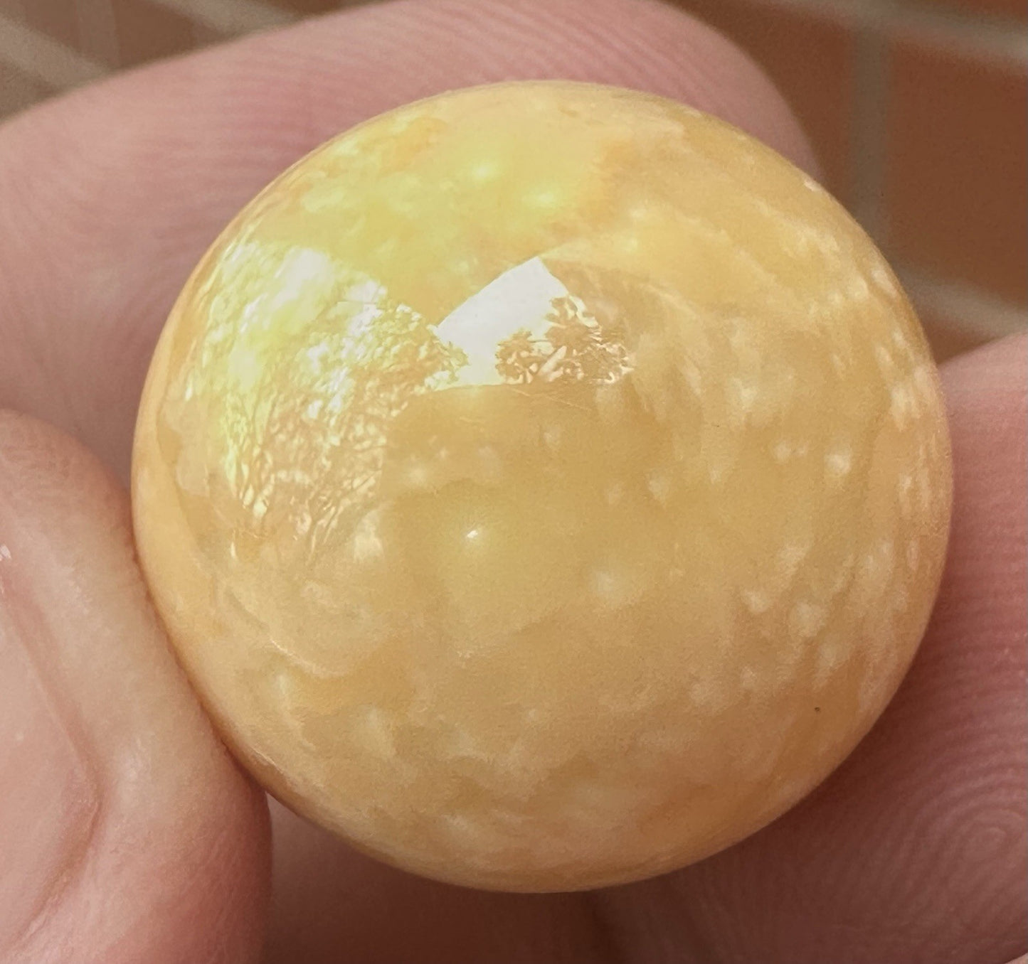 Melo Pearl 54.36ct - Stunning!