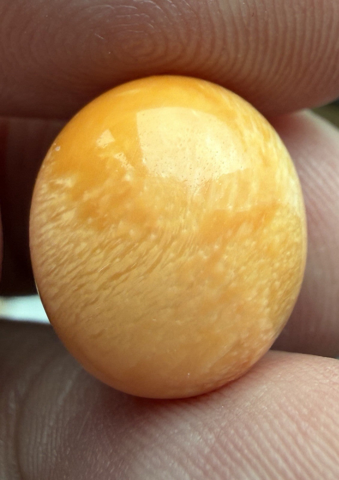 Melo Pearl 19.77ct - Natural Pearl - Magnificent!