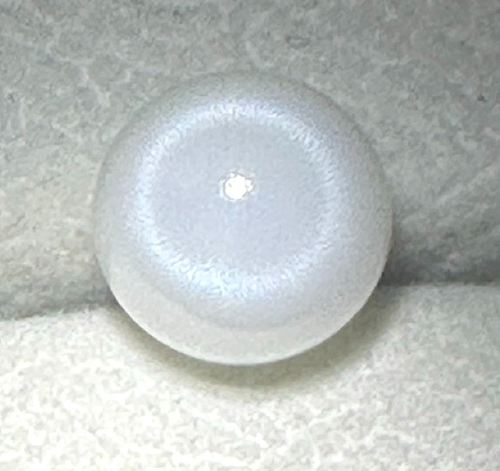 Natural Pearl Tridacna Clam 7.81ct - Beautiful !