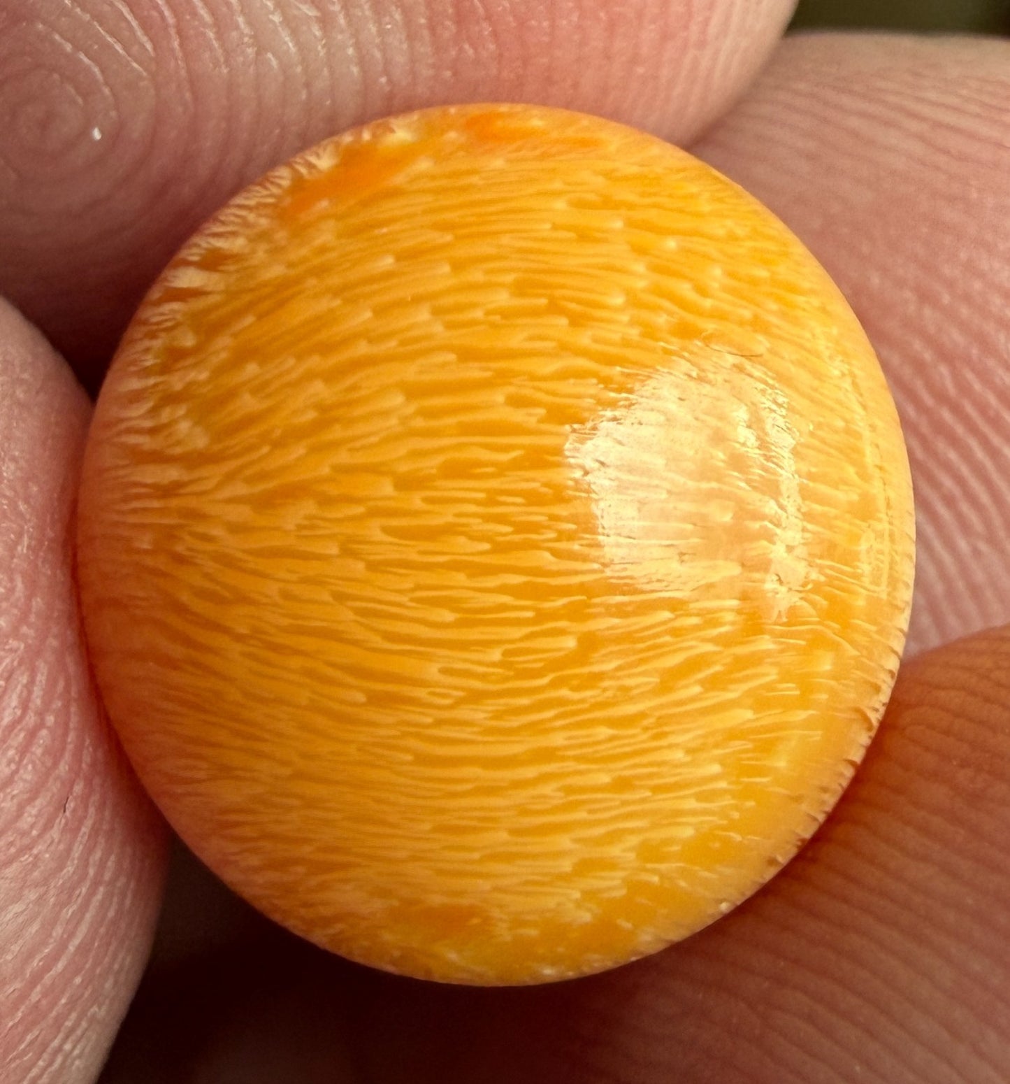 18.16ct Melo Pearl - Natural Pearl - World Class!