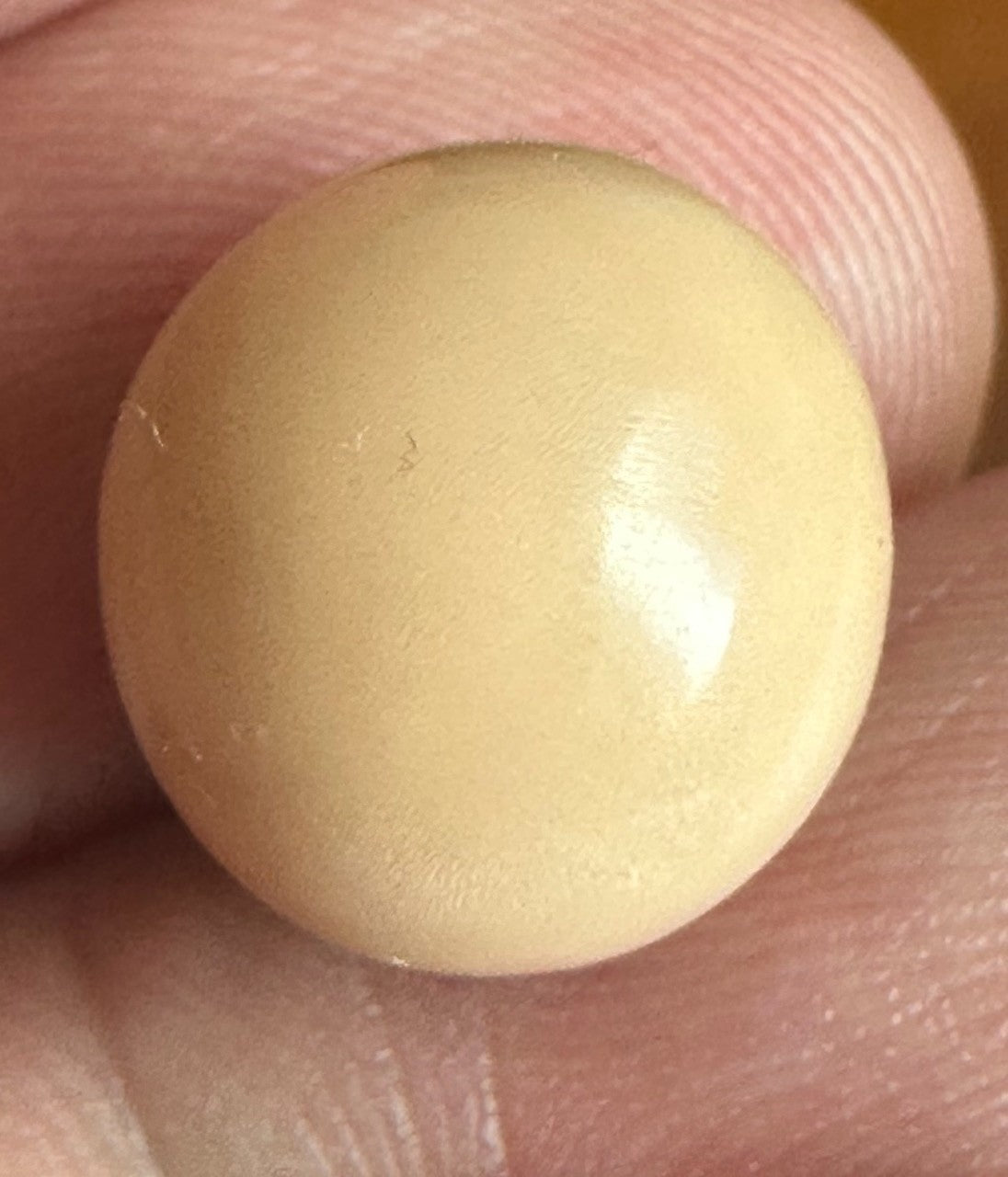 A Rare and Stunning 14.49ct Natural Saltwater Cassis Cornuta Pearl