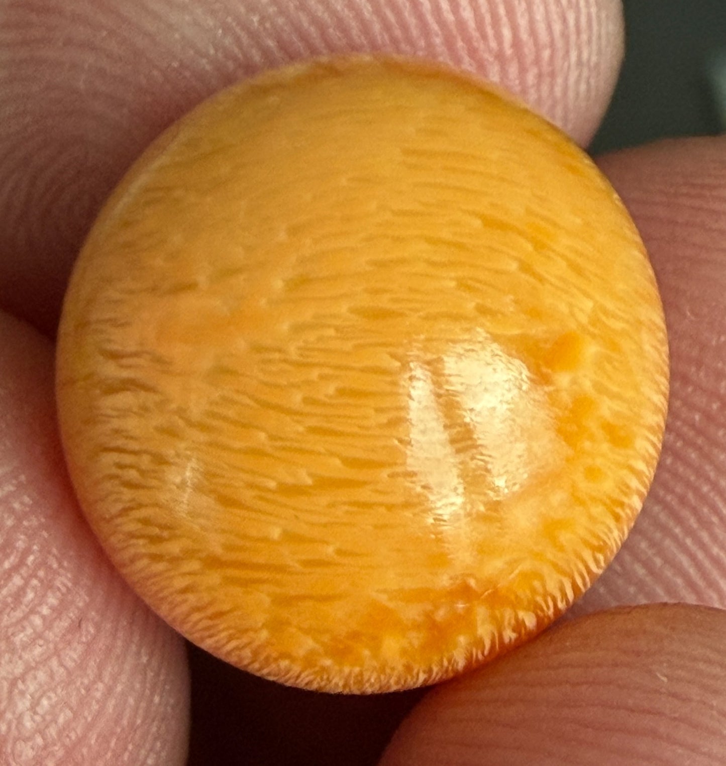 18.16ct Melo Pearl - Natural Pearl - World Class!