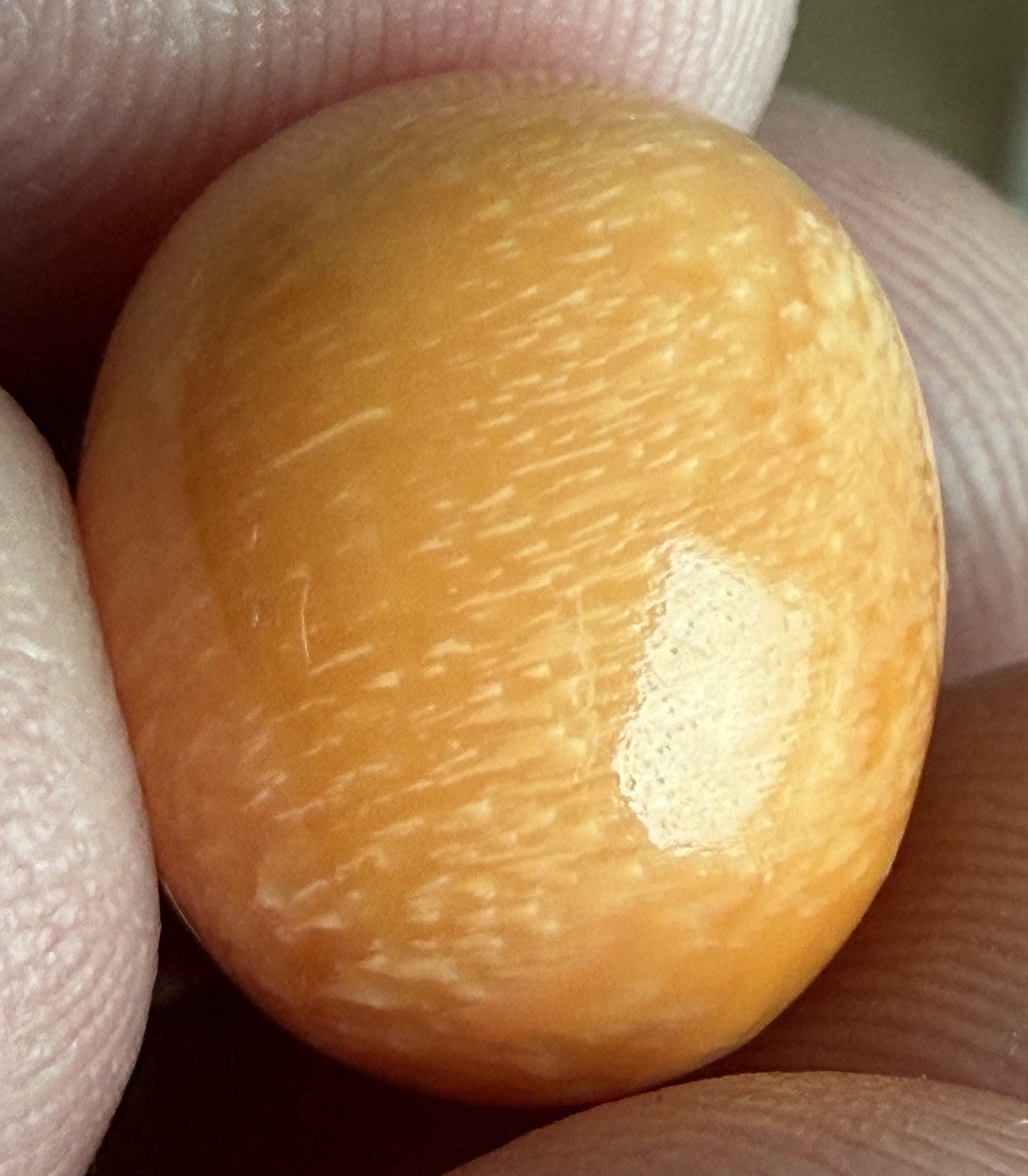 Melo Pearl 19.77ct - Natural Pearl - Magnificent!