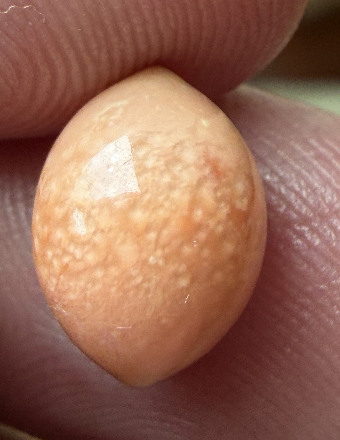 Melo Pearl 4.80ct - Natural Pearl - Exquisite!