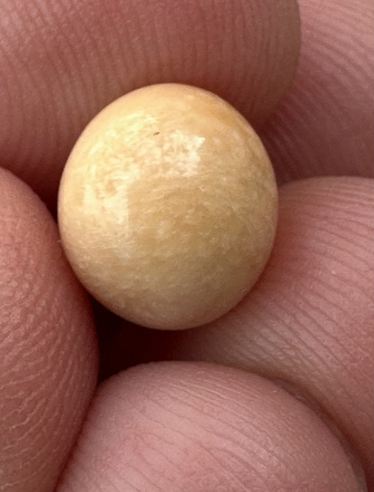 A Delightful Melo Pearl 5.22ct