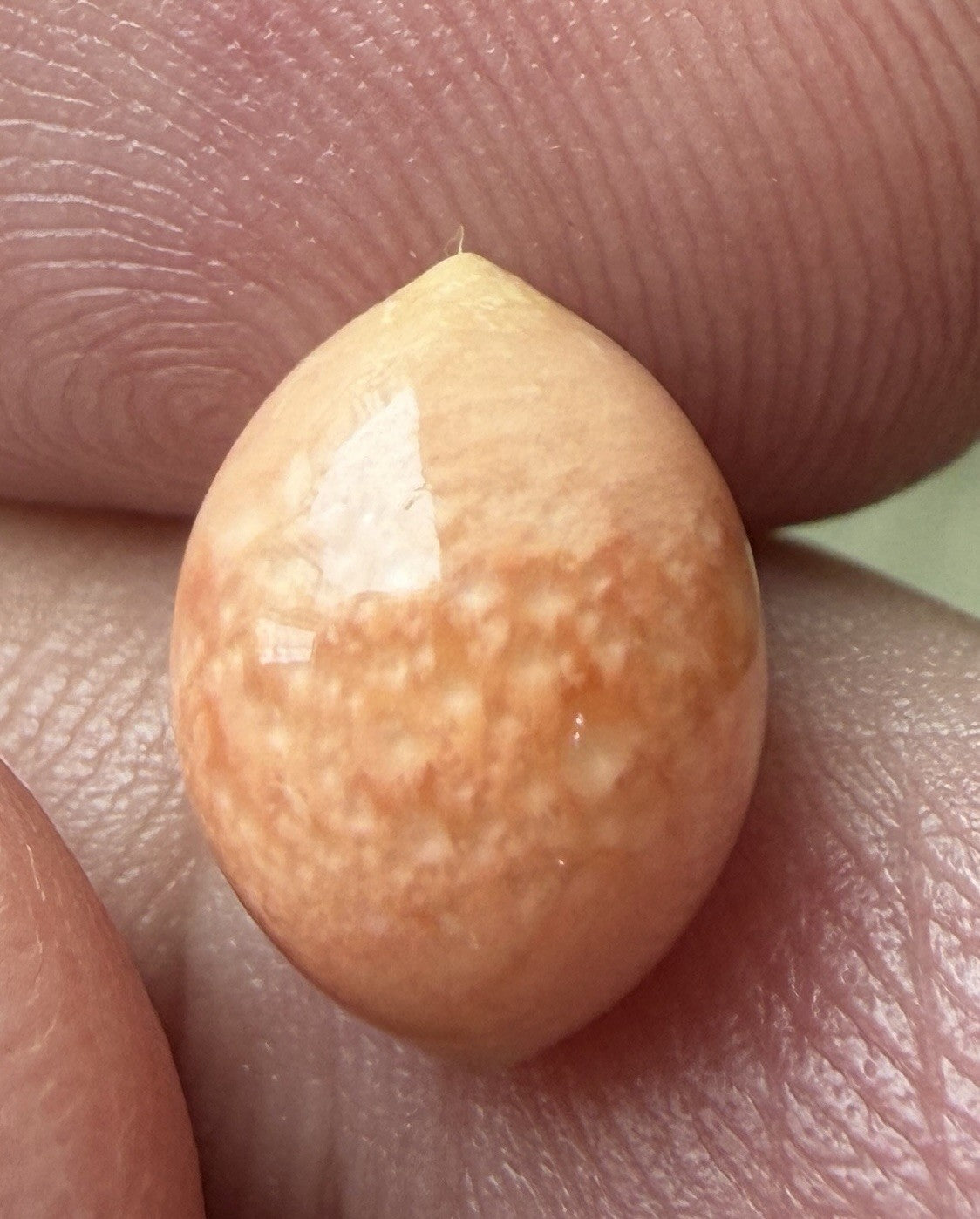 Melo Pearl 4.80ct - Natural Pearl - Exquisite!