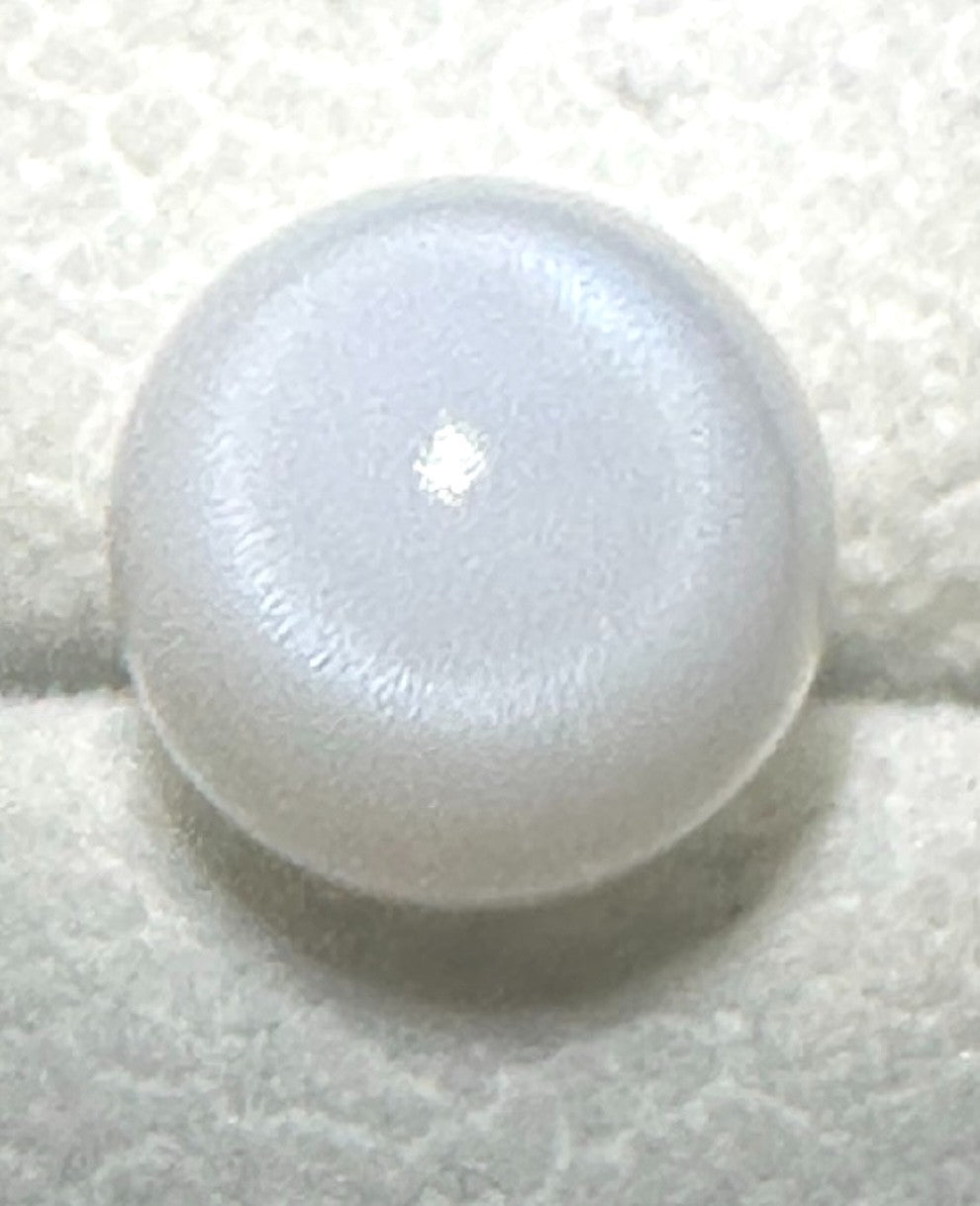 Natural Pearl Tridacna Clam 7.81ct - Beautiful !