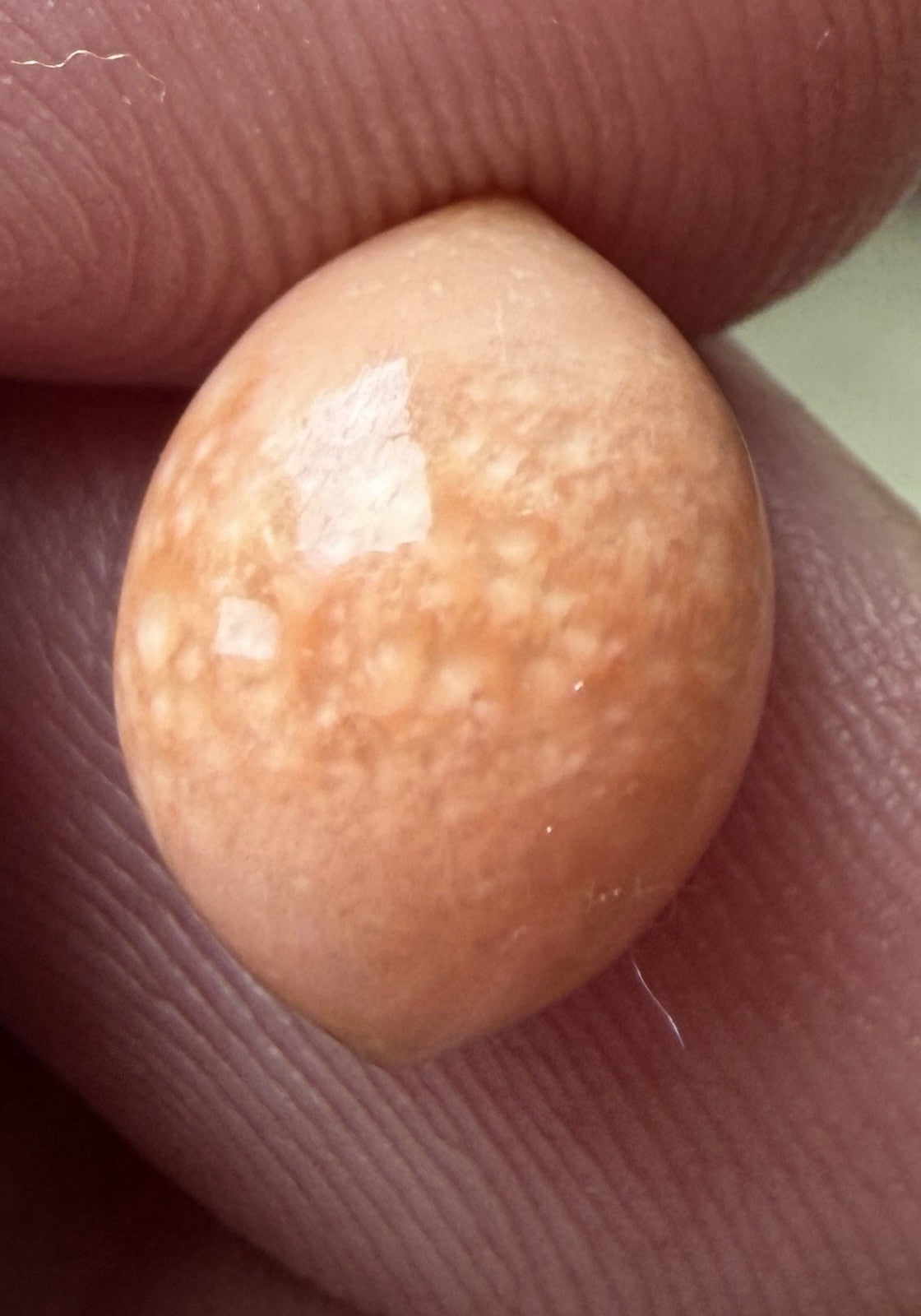 Melo Pearl 4.80ct - Natural Pearl - Exquisite!