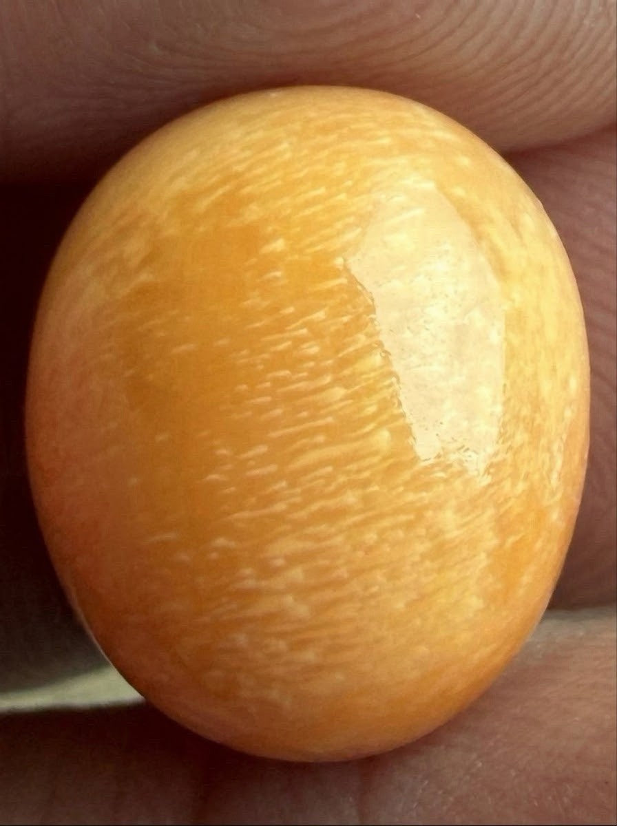 Melo Pearl 19.77ct - Natural Pearl - Magnificent!