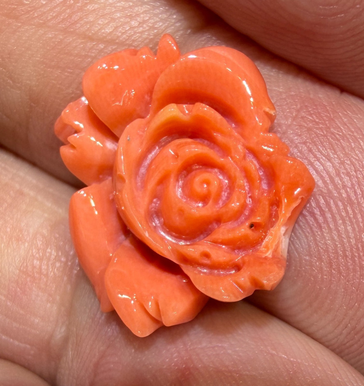 A Stunning Carved Red Coral Rose
