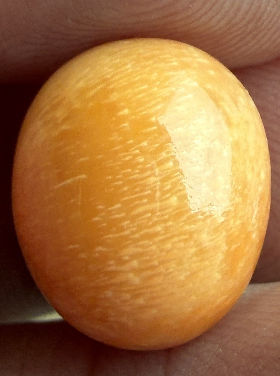 Melo Pearl 19.77ct - Natural Pearl - Magnificent!