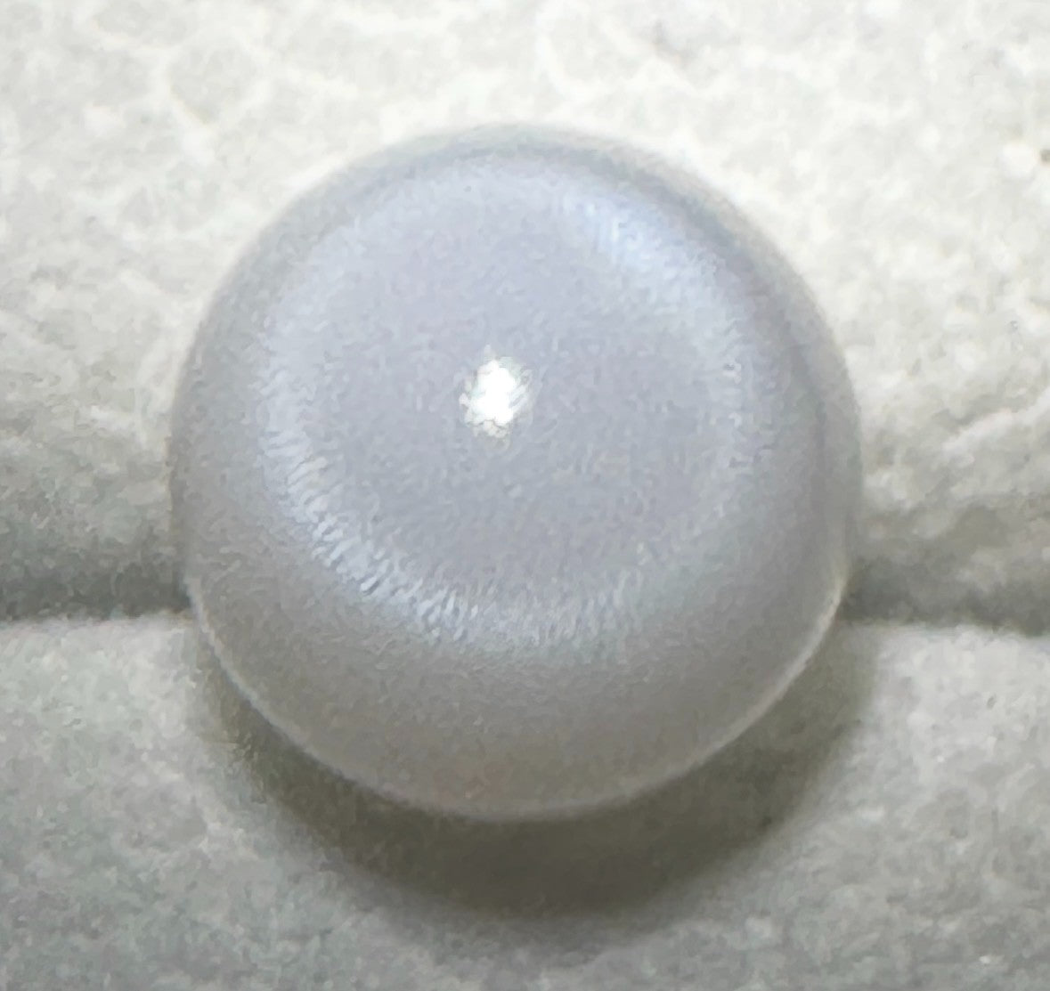Natural Pearl Tridacna Clam 7.81ct - Beautiful !