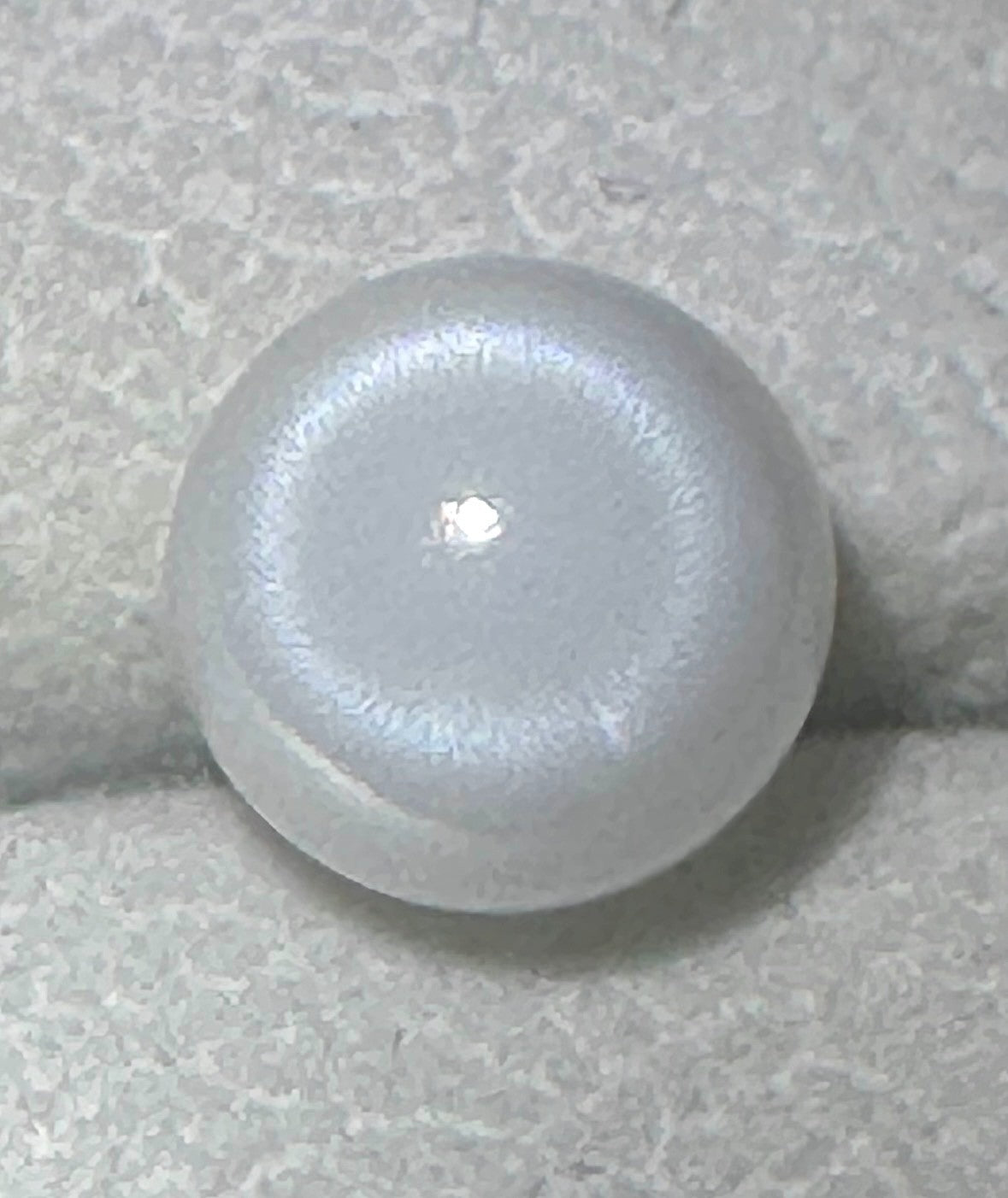 Natural Pearl Tridacna Clam 7.81ct - Beautiful !