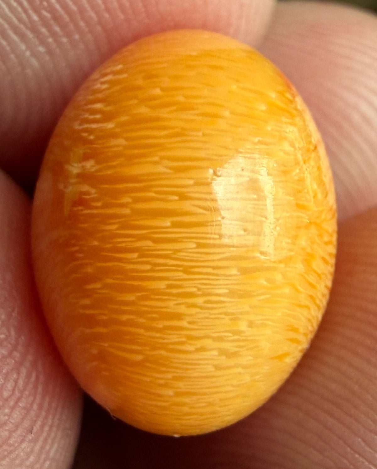 18.16ct Melo Pearl - Natural Pearl - World Class!