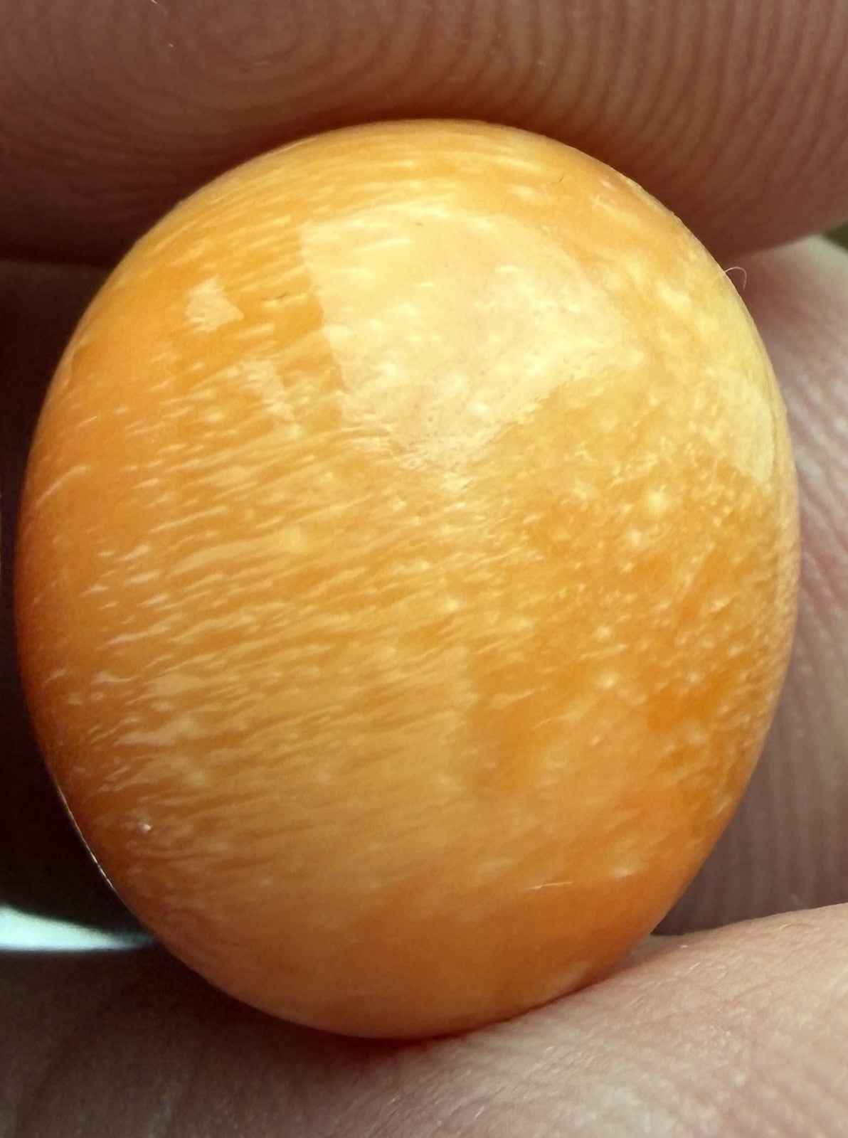 Melo Pearl 19.77ct - Natural Pearl - Magnificent!