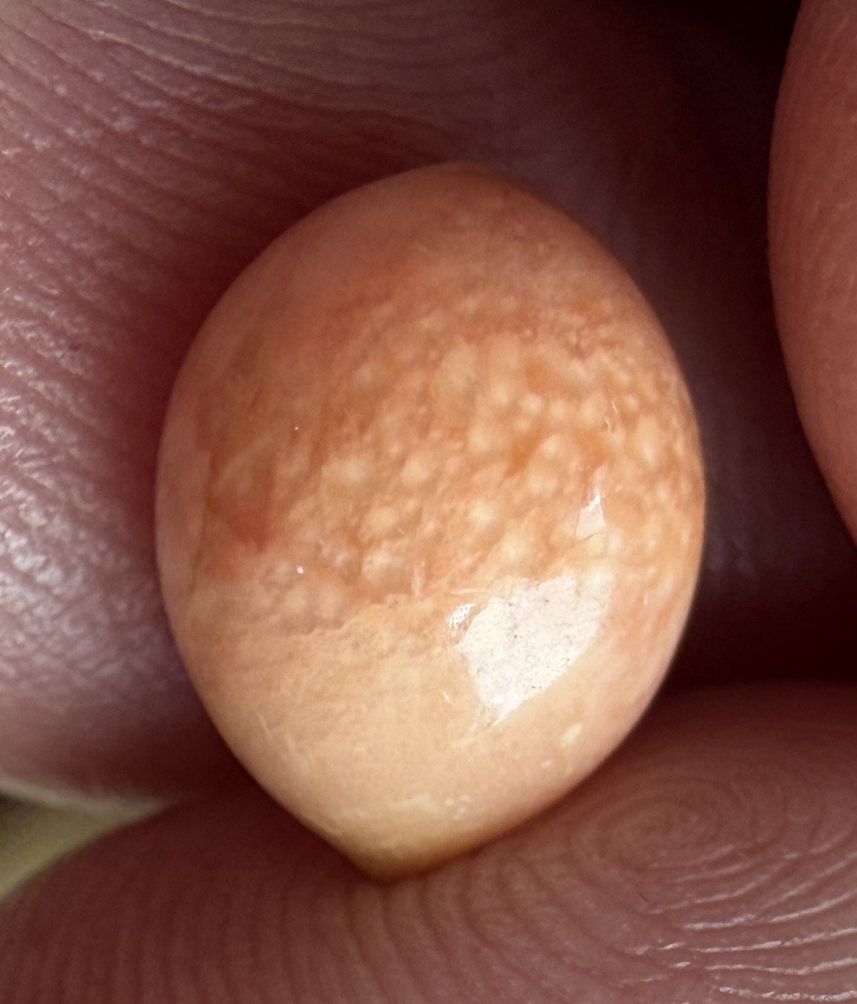 Melo Pearl 4.80ct - Natural Pearl - Exquisite!