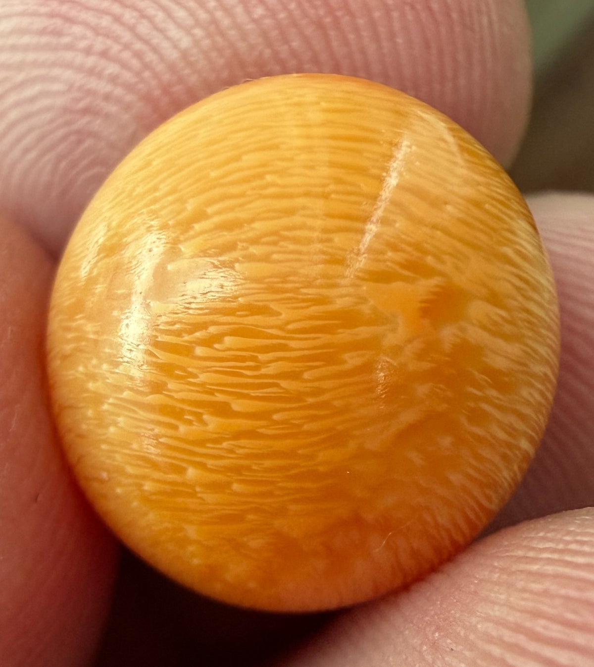 18.16ct Melo Pearl - Natural Pearl - World Class!