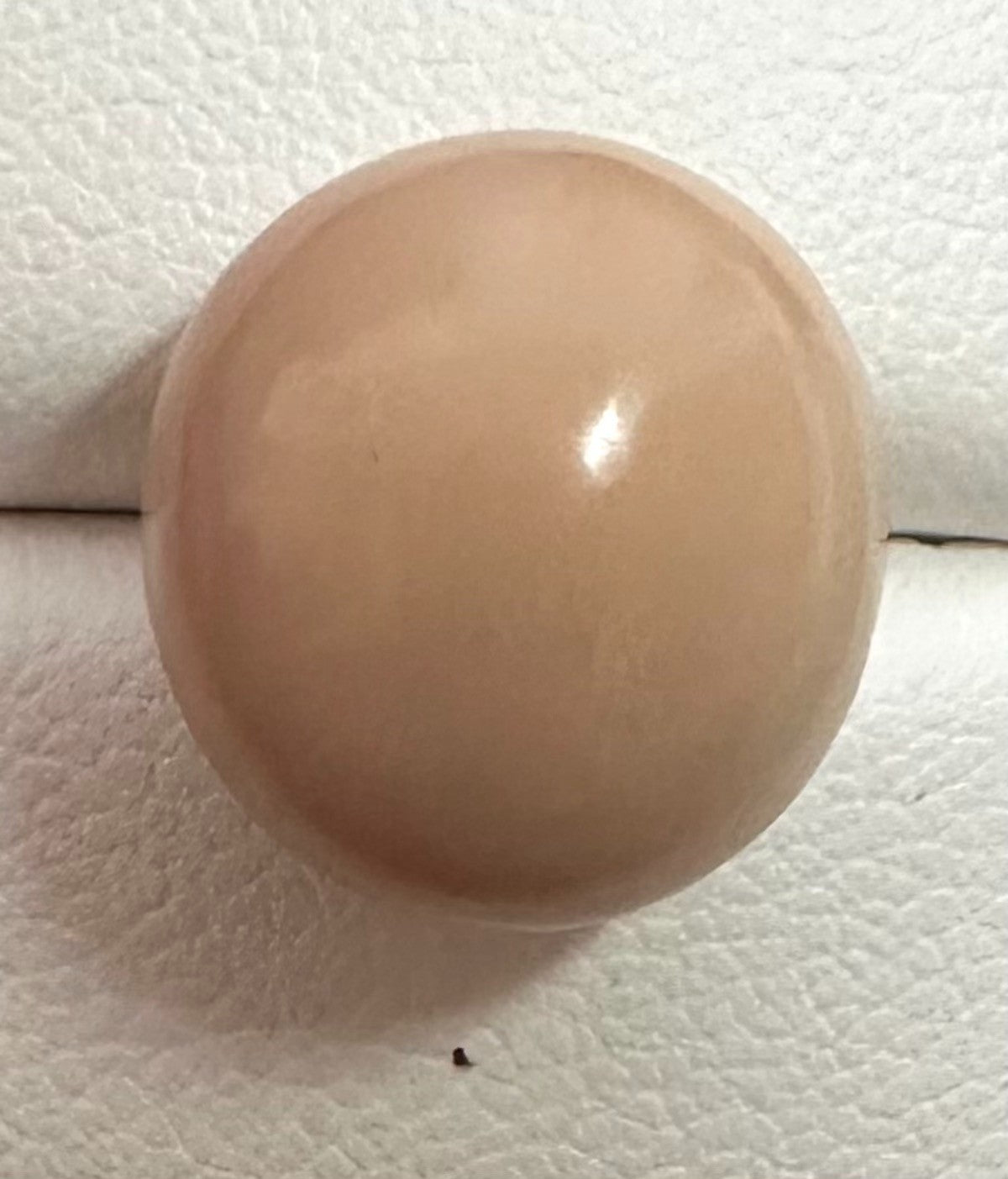 A Rare and Stunning 14.49ct Natural Saltwater Cassis Cornuta Pearl