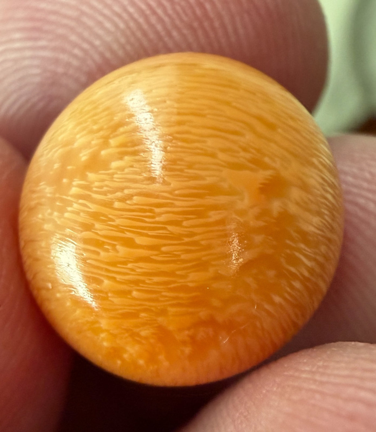 18.16ct Melo Pearl - Natural Pearl - World Class!