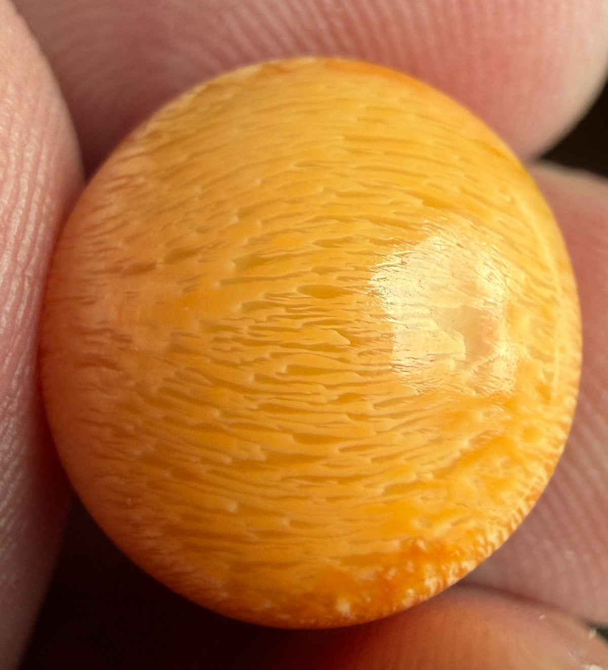 18.16ct Melo Pearl - Natural Pearl - World Class!