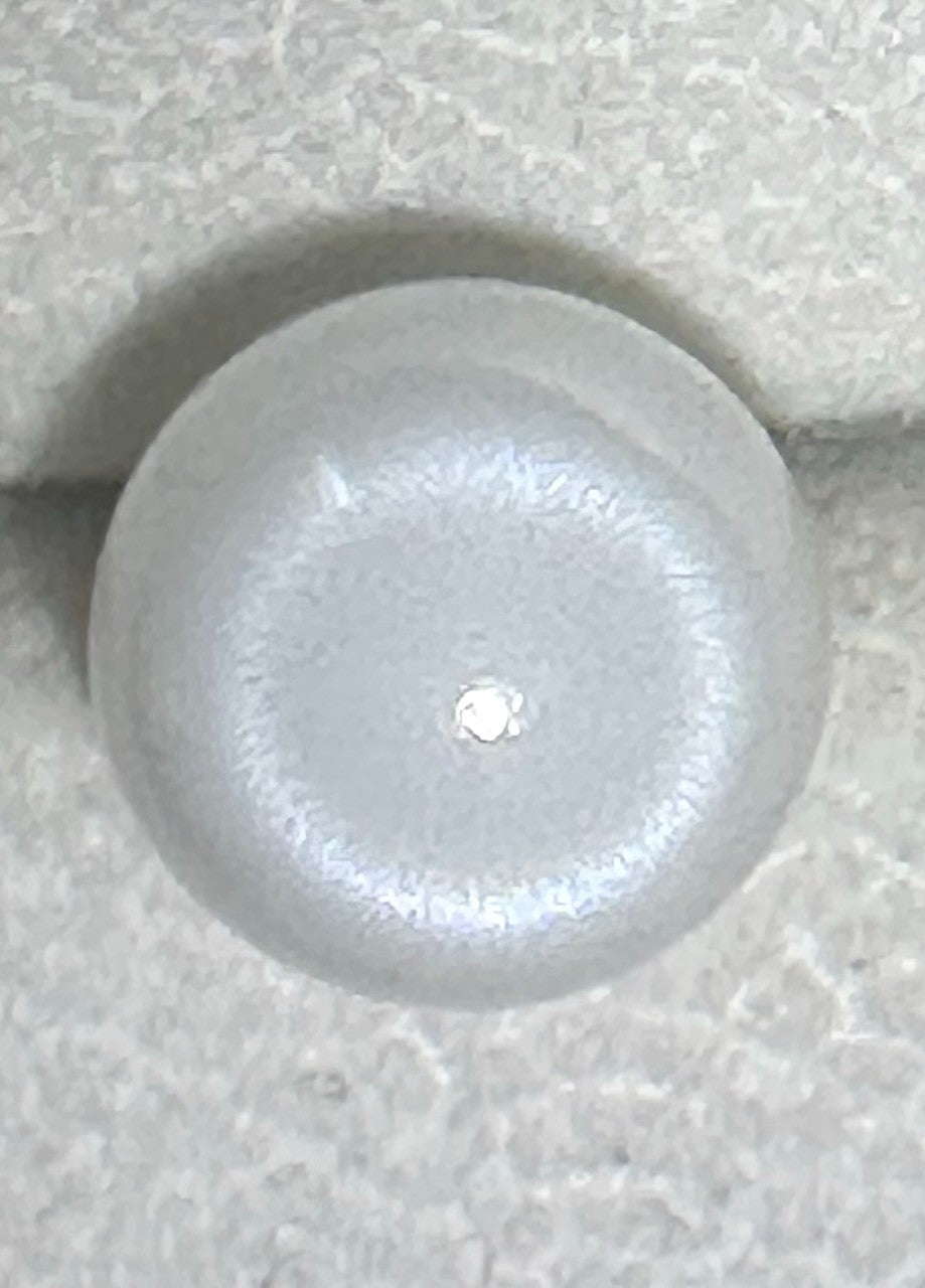 Natural Pearl Tridacna Clam 7.81ct - Beautiful !