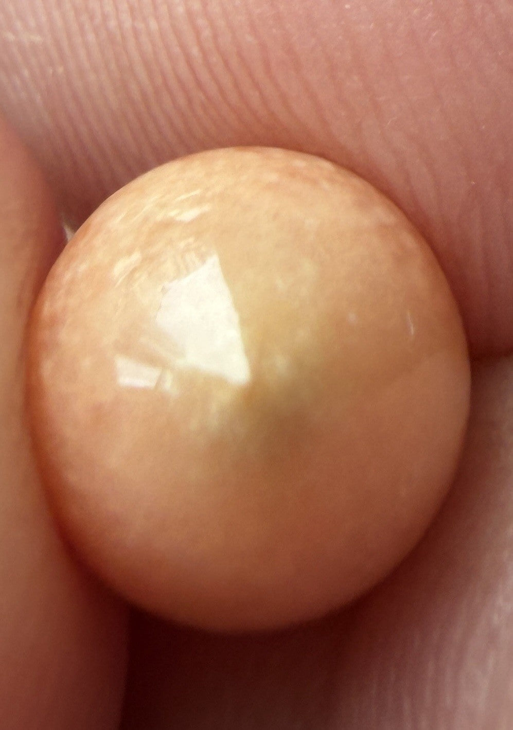 Melo Pearl 4.80ct - Natural Pearl - Exquisite!