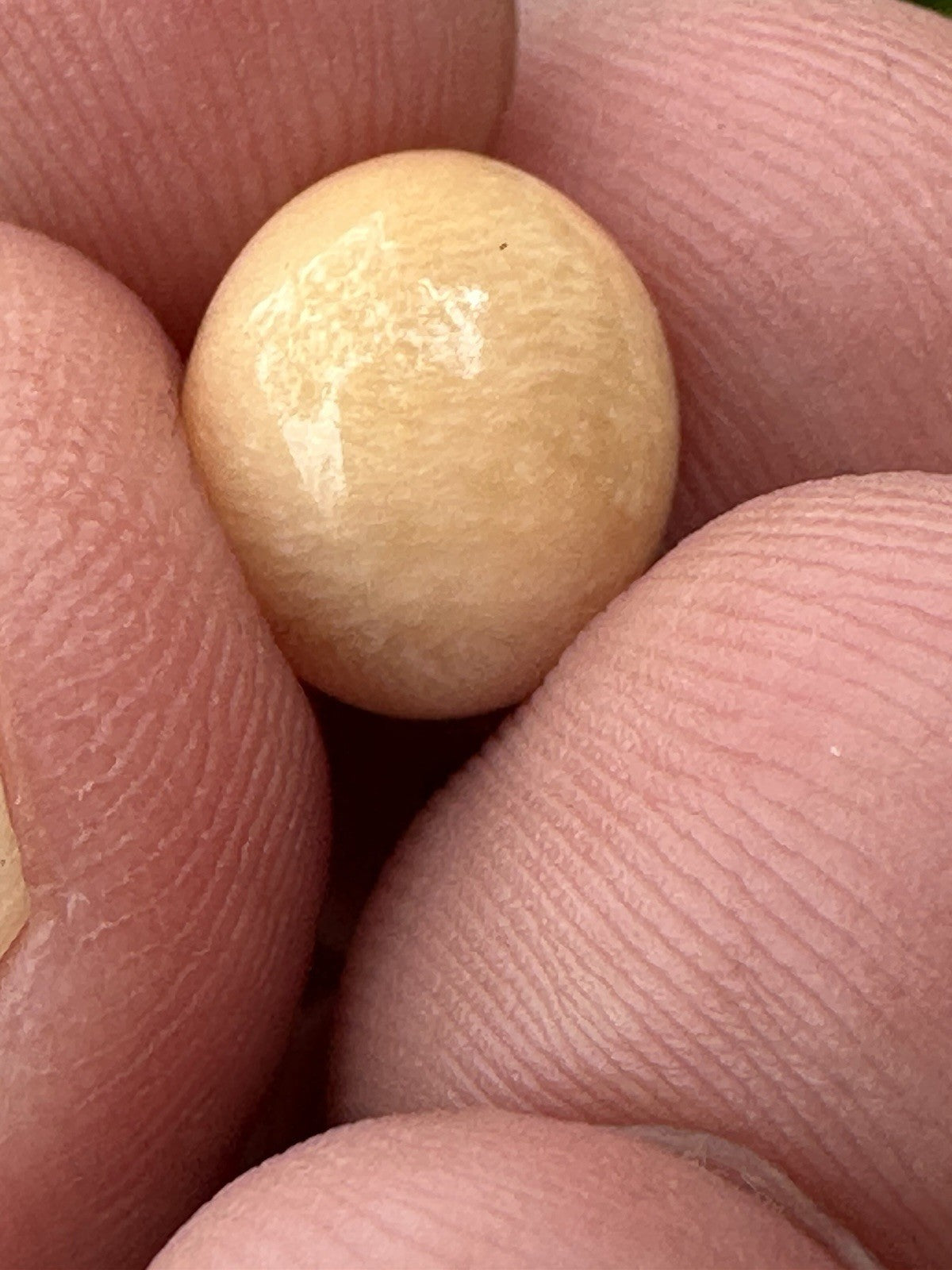 A Delightful Melo Pearl 5.22ct