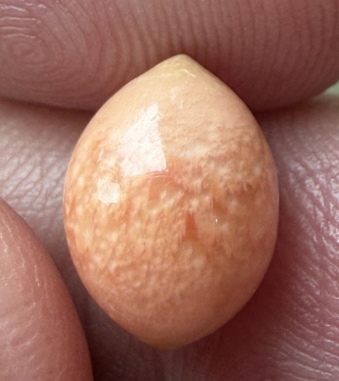 Melo Pearl 4.80ct - Natural Pearl - Exquisite!