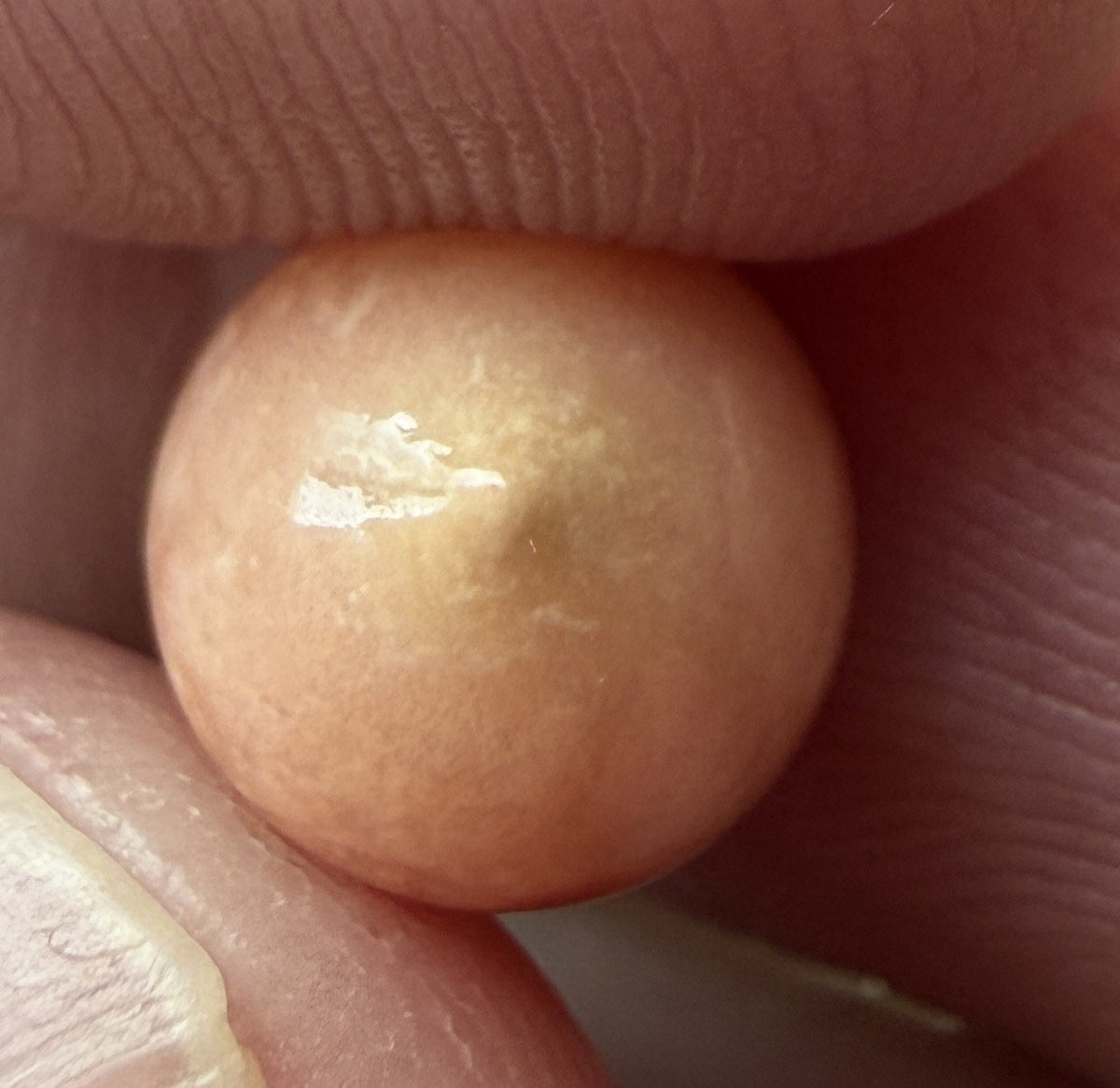 Melo Pearl 4.80ct - Natural Pearl - Exquisite!